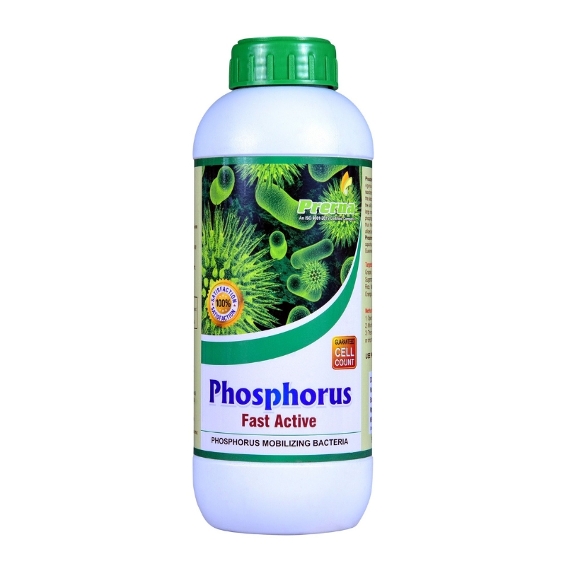Phosphorus Fast Active (P.S.B)