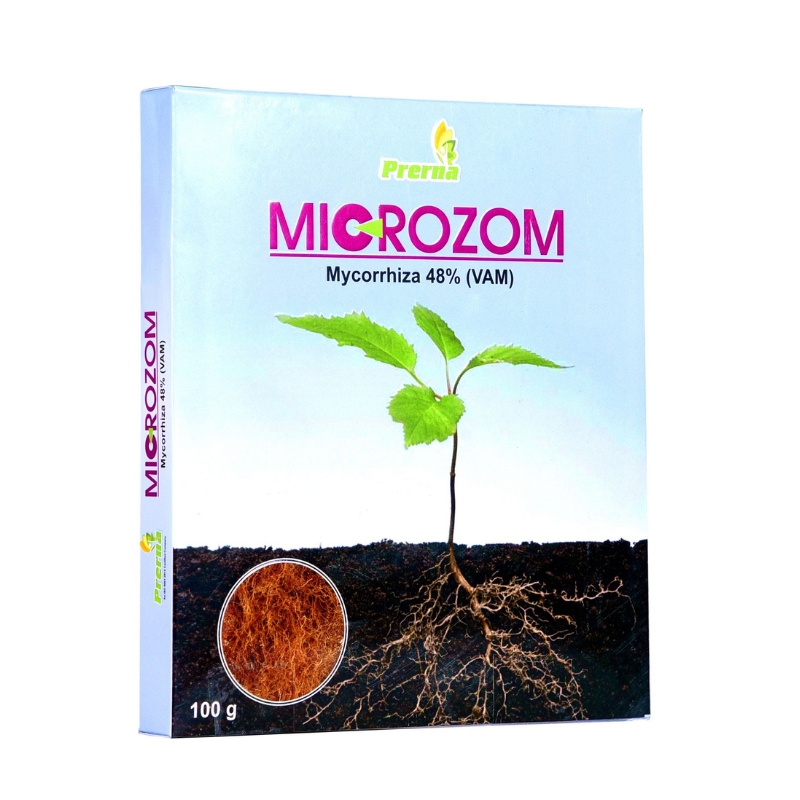 Microzom