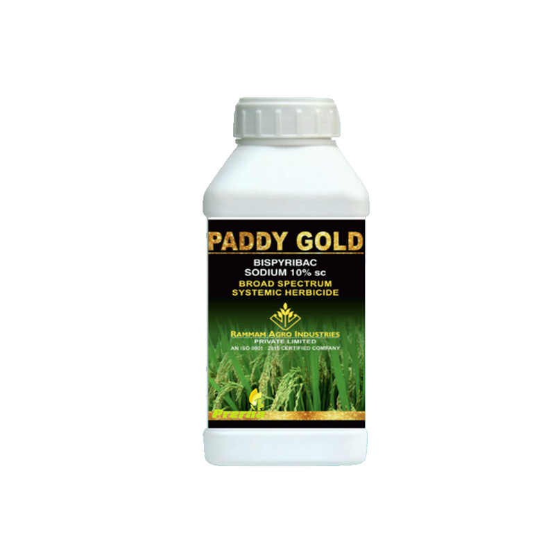 Paddy-Gold