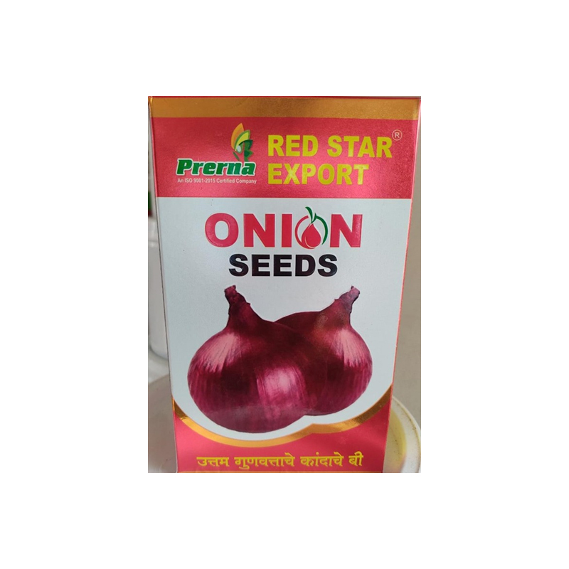 Red Star  Export Onion